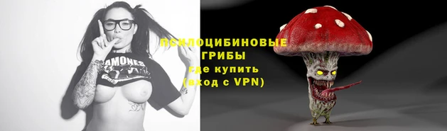 ПСИЛОЦИБИНОВЫЕ ГРИБЫ Арсеньев