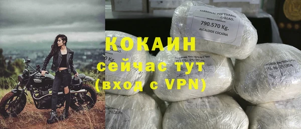 гашик Аркадак
